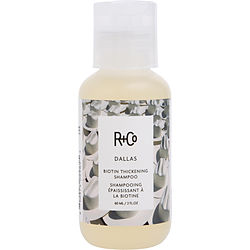R+Co