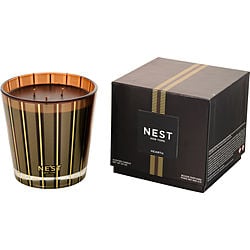 Nest Hearth