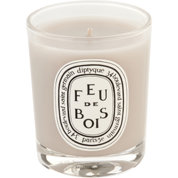 Diptyque Feu De Bois