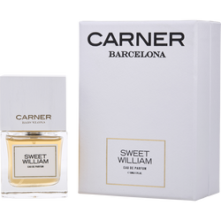Carner Barcelona Sweet William