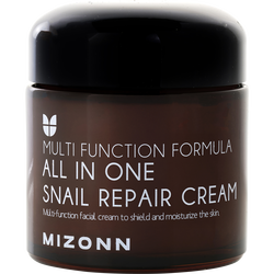 Mizon