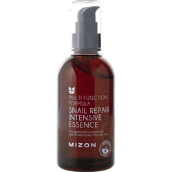 Mizon