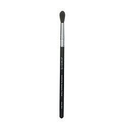 Sigma Beauty