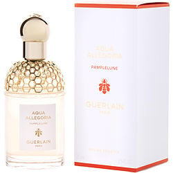 Aqua Allegoria Pamplelune