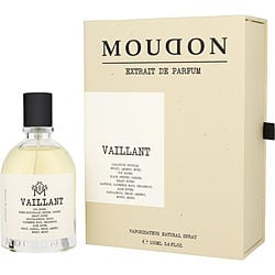 Moudon Vaillant