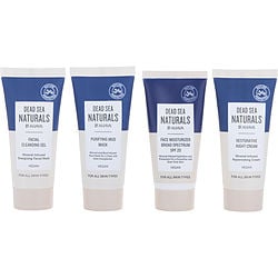 Ahava