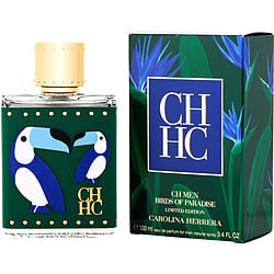Ch Birds Of Paradise