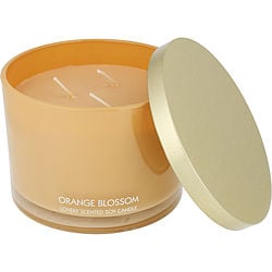 Lovery Orange Blossom