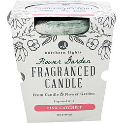 Flower Garden Pink Catchfly