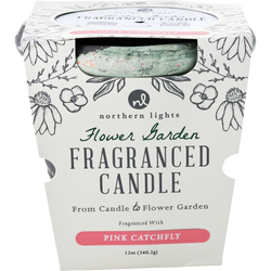 Flower Garden Pink Catchfly
