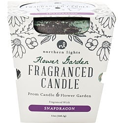 Flower Garden Snapdragon
