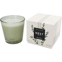 Nest Wild Mint & Eucalyptus
