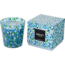 Nest Forest Rain