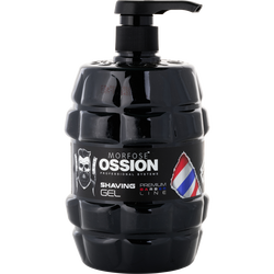 Ossion