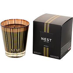 Nest Hearth