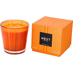 Nest Pumpkin Chai