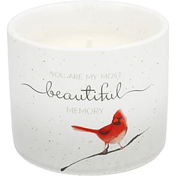 Pavilion Beautiful Memory