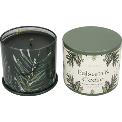 Illume Balsam & Cedar