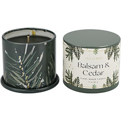 Illume Balsam & Cedar