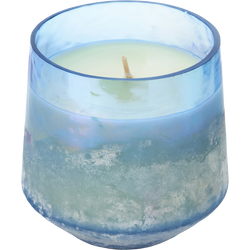 Illume Citrus Crush
