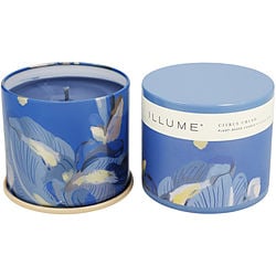 Illume Citrus Crush