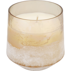 Illume Coconut Milk Mango