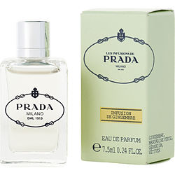 Prada Infusion De Gingembre