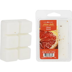 Candle Warmers Citrus Grove