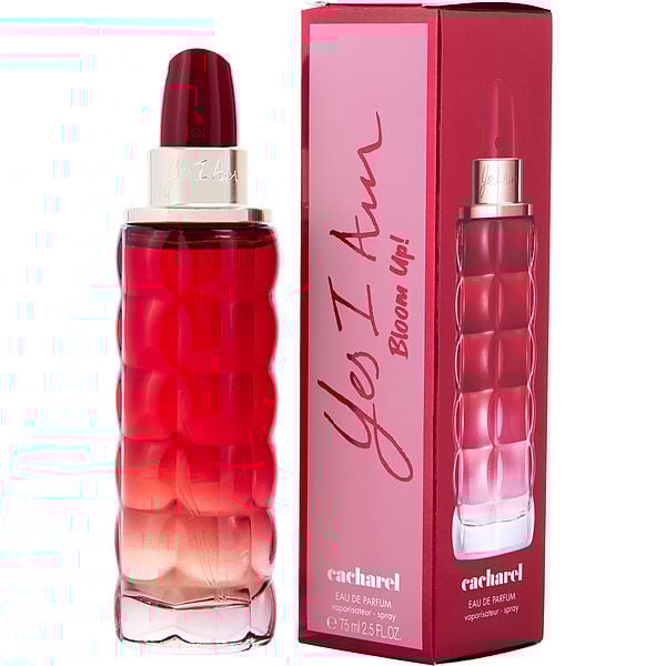 Outlet Cacharel Notino Cacharel Yes I Am Davidoff Brand Davidoff