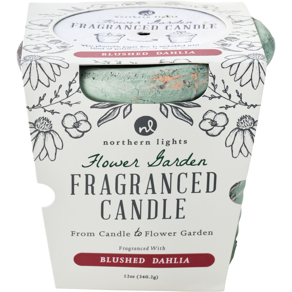 Flower Garden Blushed Dahlia by Northern Lights, Fragranced Candle 12 oz