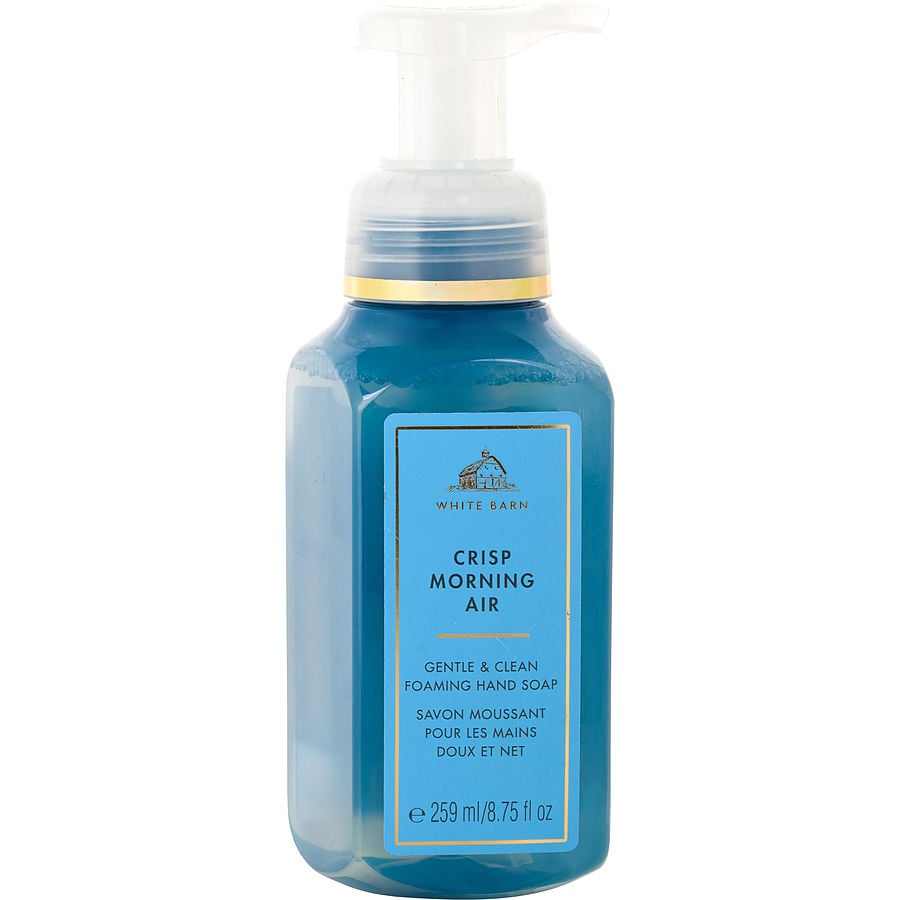 Bath & Body Works Soft Hand Soap | FragranceNet.com®