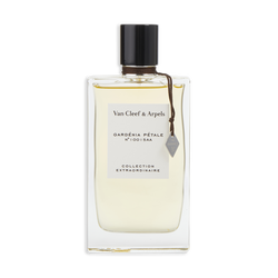 Gardenia Petale