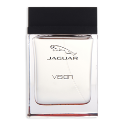 Jaguar Vision Sport