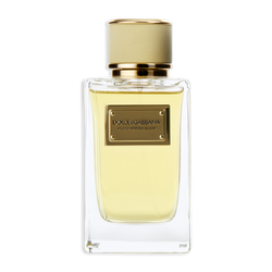 Dolce & Gabbana Velvet Mimosa Bloom