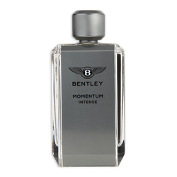Bentley Momentum Intense