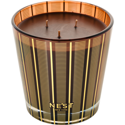 Nest Hearth