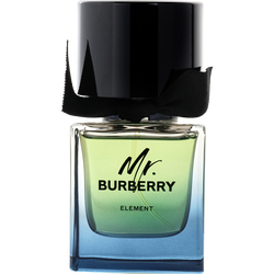 Mr Burberry Element