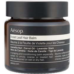 Aesop