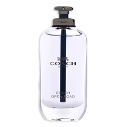 Coach Open Road