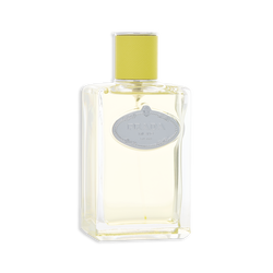 Prada Infusion d'Ylang