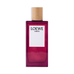 Loewe Earth