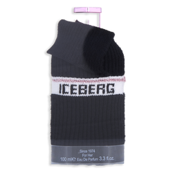 Iceberg Since 1974