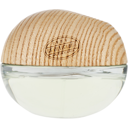 Dkny Be Delicious Coconuts About Summer