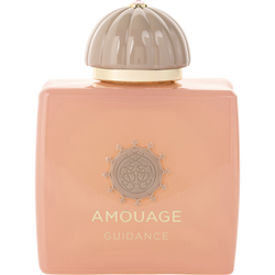Amouage Guidance