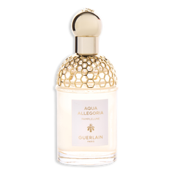 Aqua Allegoria Pamplelune