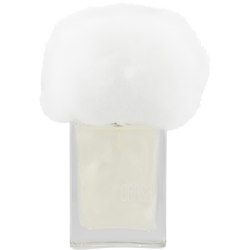 Nebbia Densa