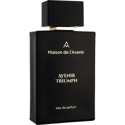 Maison De L'Avenir Avenir Triumph