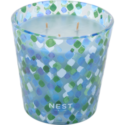 Nest Forest Rain