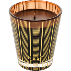 Nest Hearth