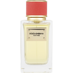 Dolce & Gabbana Velvet Rose